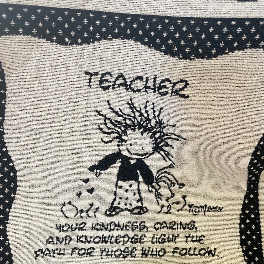 Teacher bag